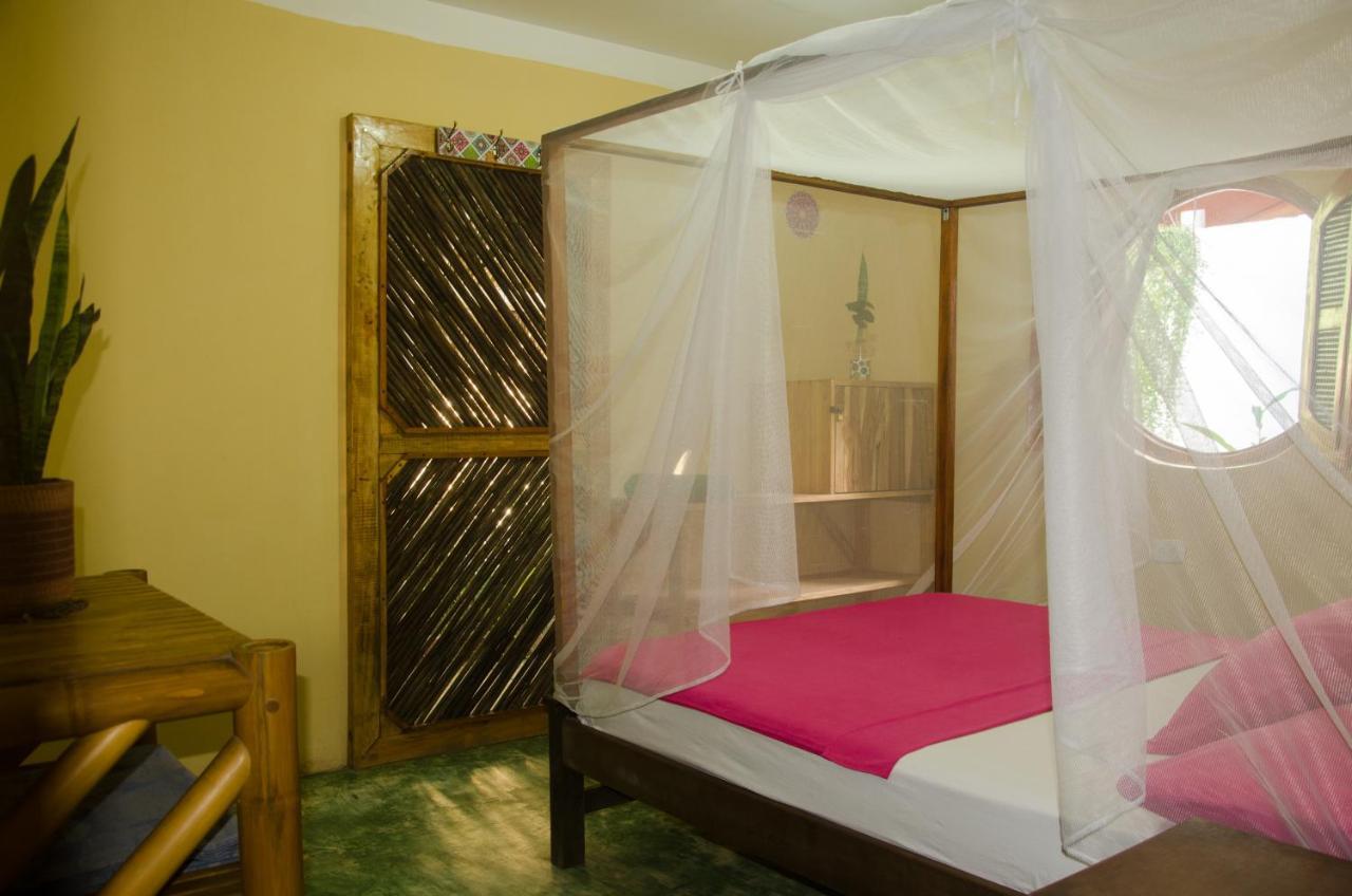 פאלומינו Hostal Corazon De Tagua מראה חיצוני תמונה