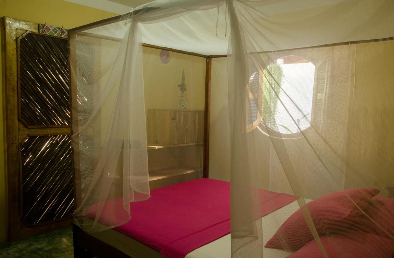 פאלומינו Hostal Corazon De Tagua מראה חיצוני תמונה