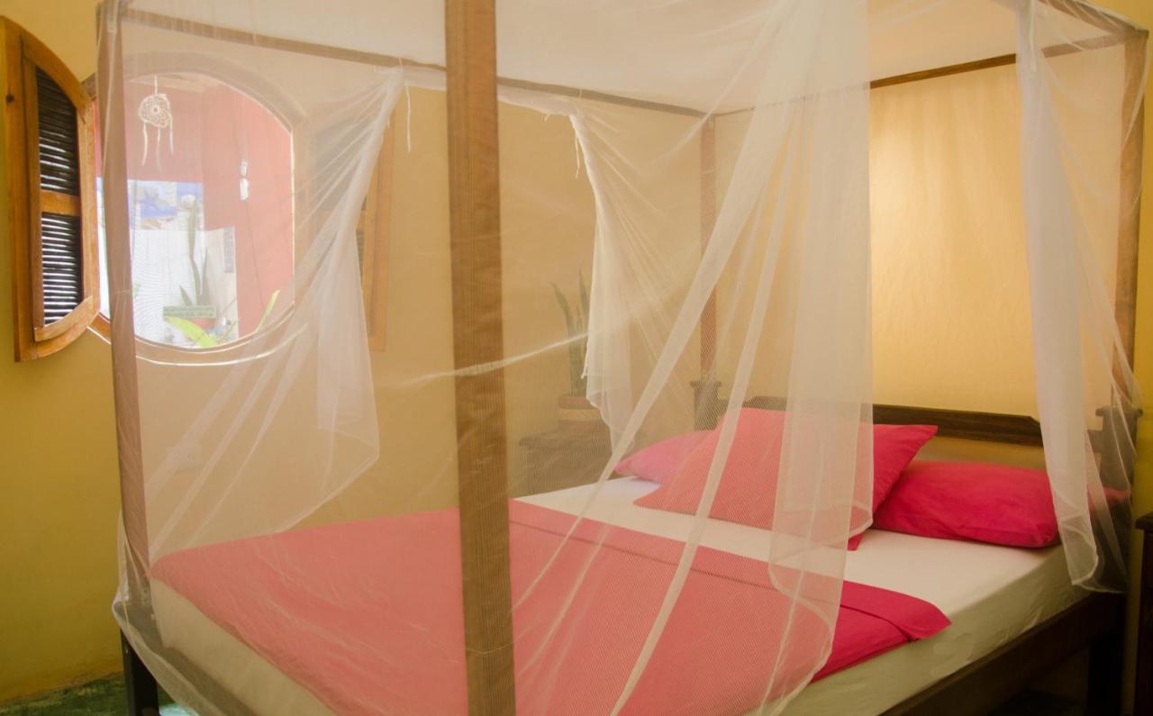פאלומינו Hostal Corazon De Tagua מראה חיצוני תמונה
