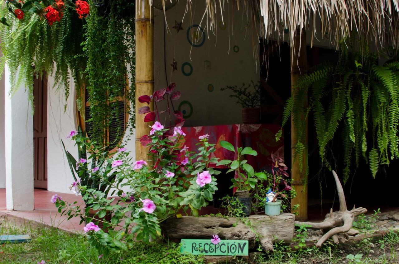 פאלומינו Hostal Corazon De Tagua מראה חיצוני תמונה