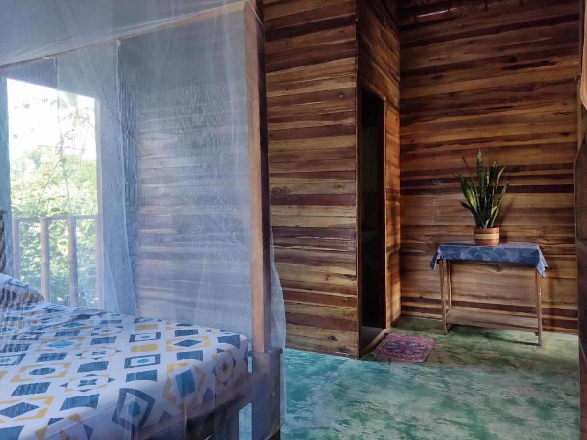 פאלומינו Hostal Corazon De Tagua מראה חיצוני תמונה