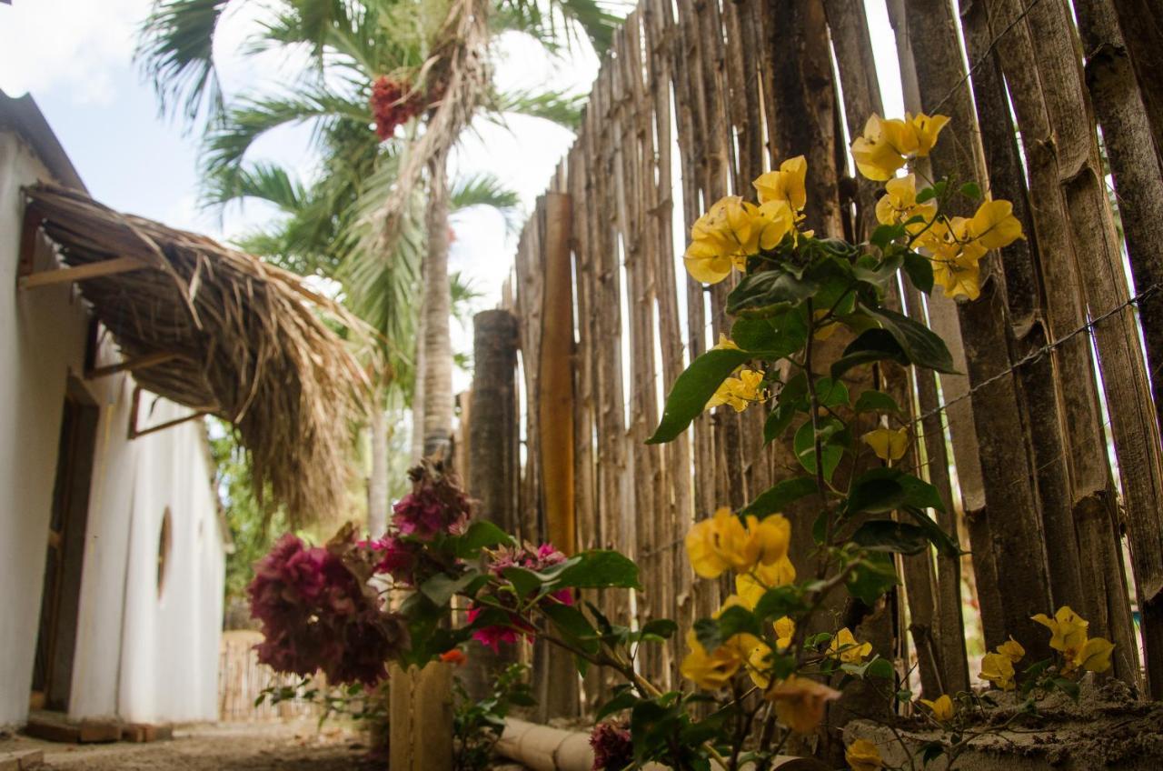 פאלומינו Hostal Corazon De Tagua מראה חיצוני תמונה