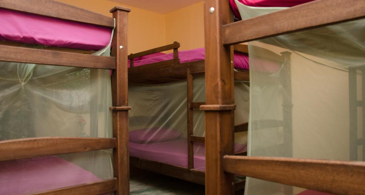 פאלומינו Hostal Corazon De Tagua מראה חיצוני תמונה
