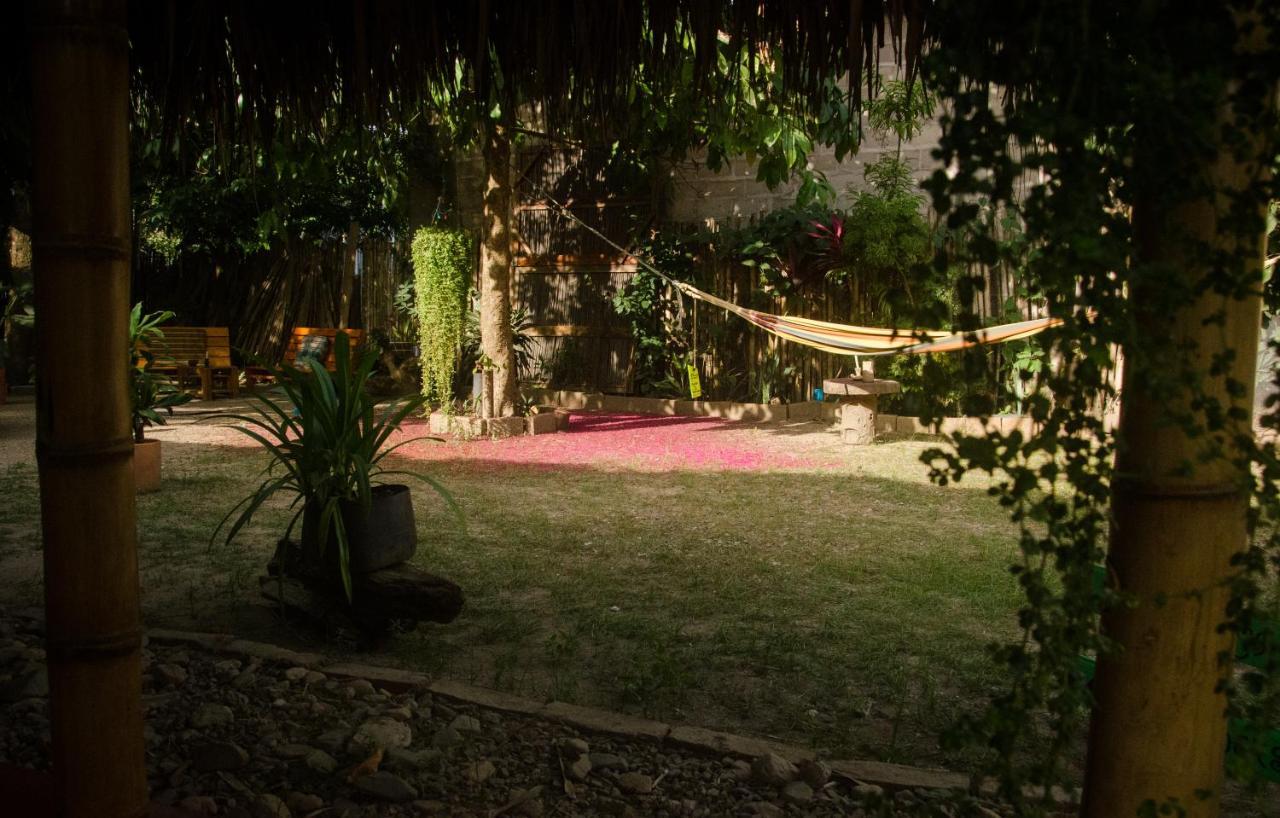 פאלומינו Hostal Corazon De Tagua מראה חיצוני תמונה