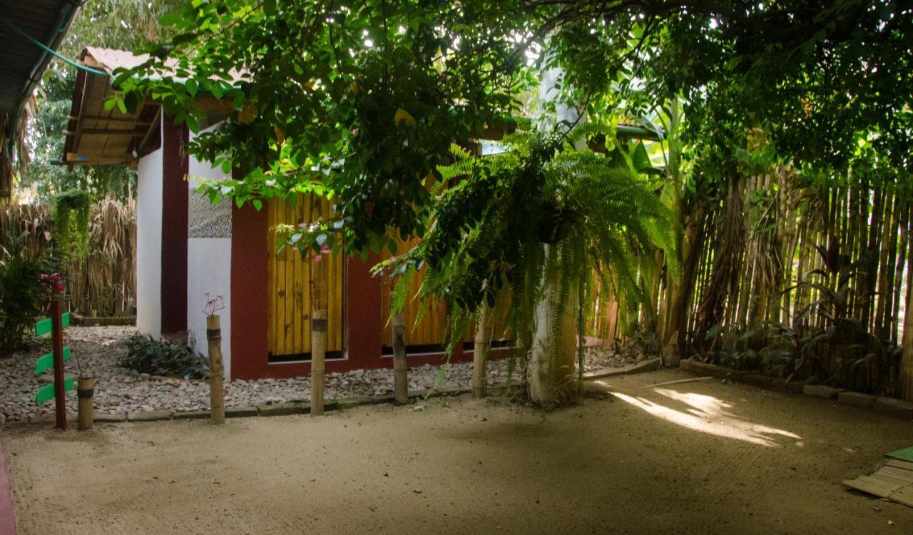 פאלומינו Hostal Corazon De Tagua מראה חיצוני תמונה