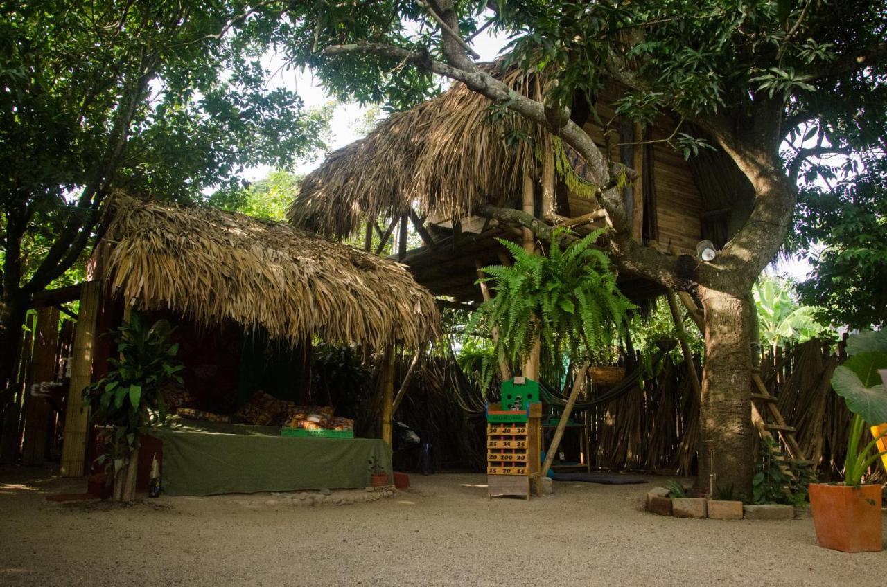 פאלומינו Hostal Corazon De Tagua מראה חיצוני תמונה