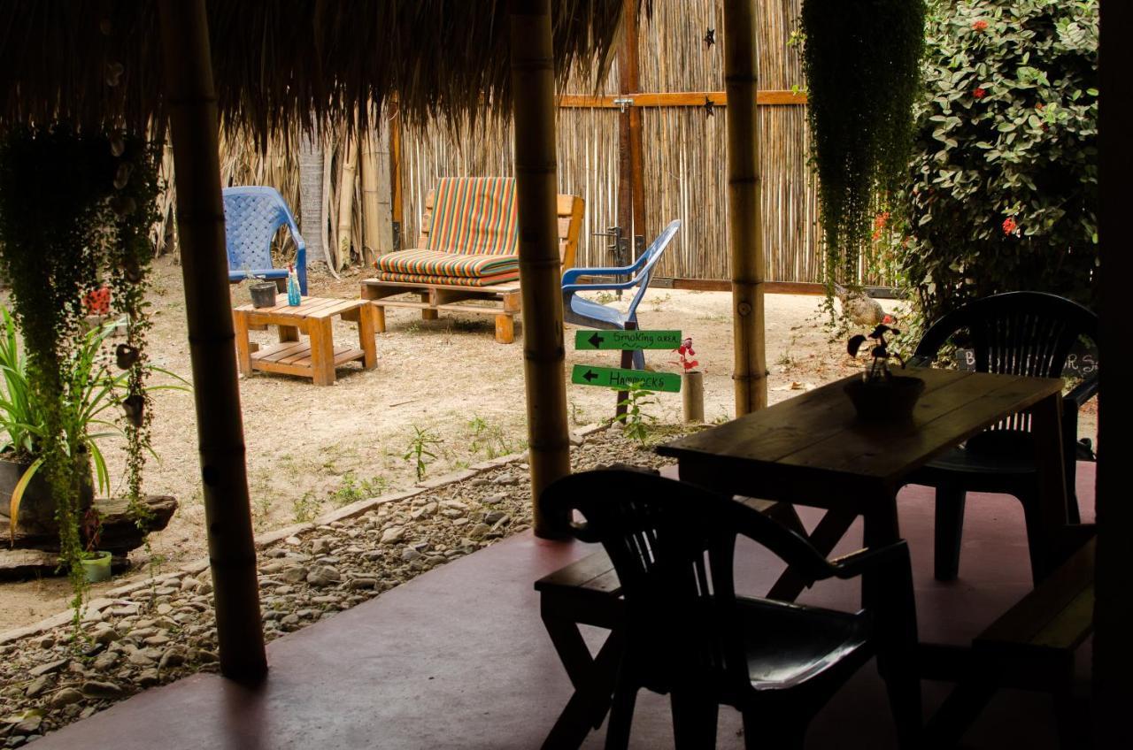 פאלומינו Hostal Corazon De Tagua מראה חיצוני תמונה